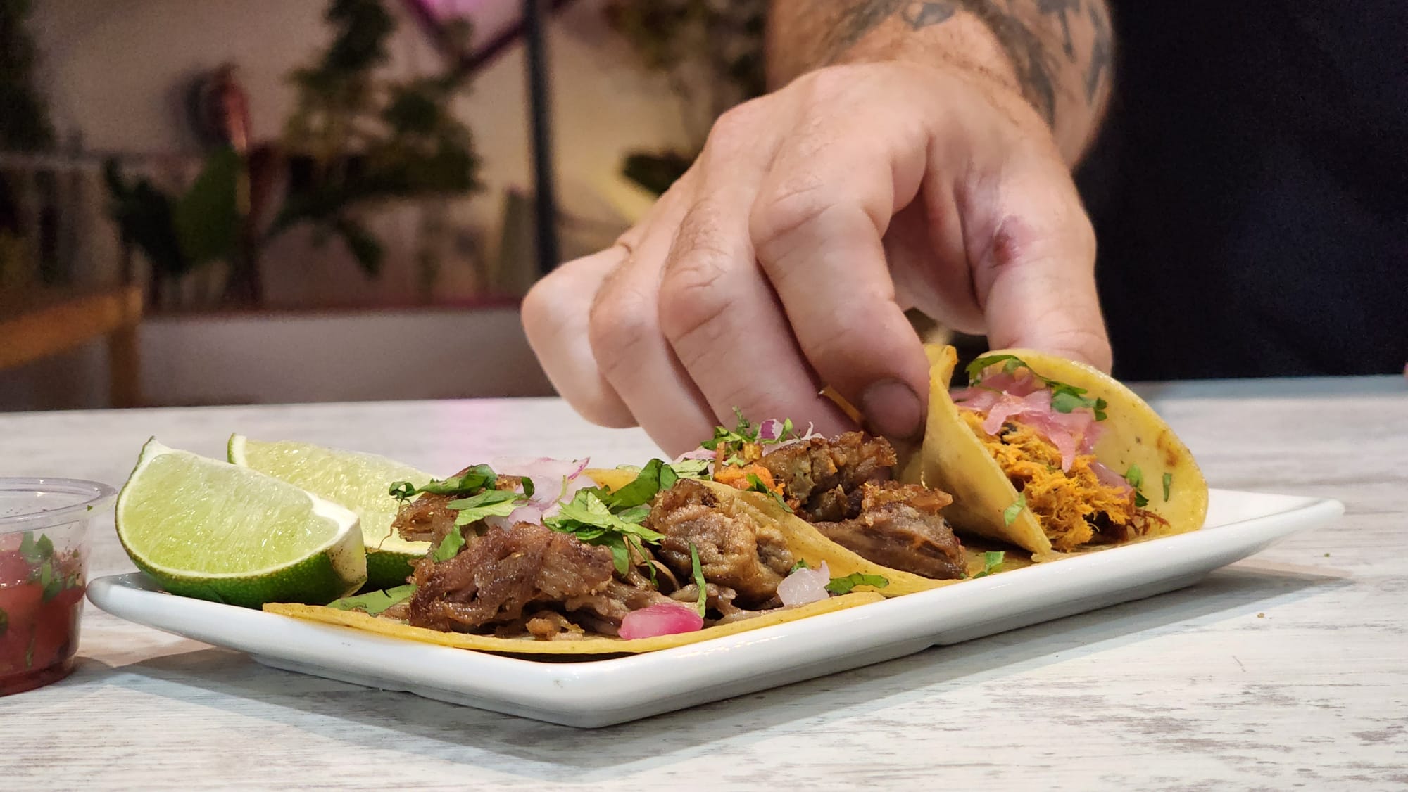 TINGA DE POLLO