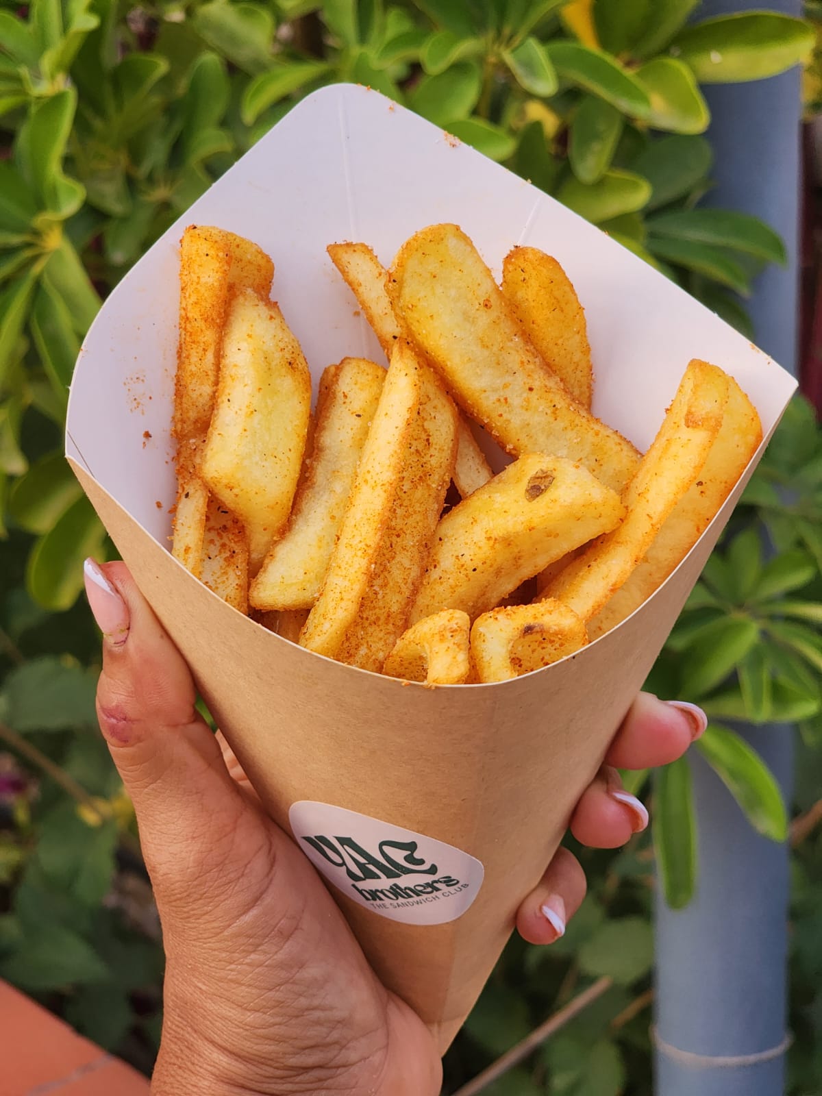 EXTRA DE PAPAS